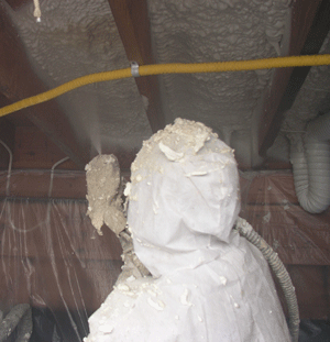 Antoich CA crawl space insulation