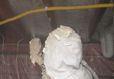 Antoich Crawl Space Insulation