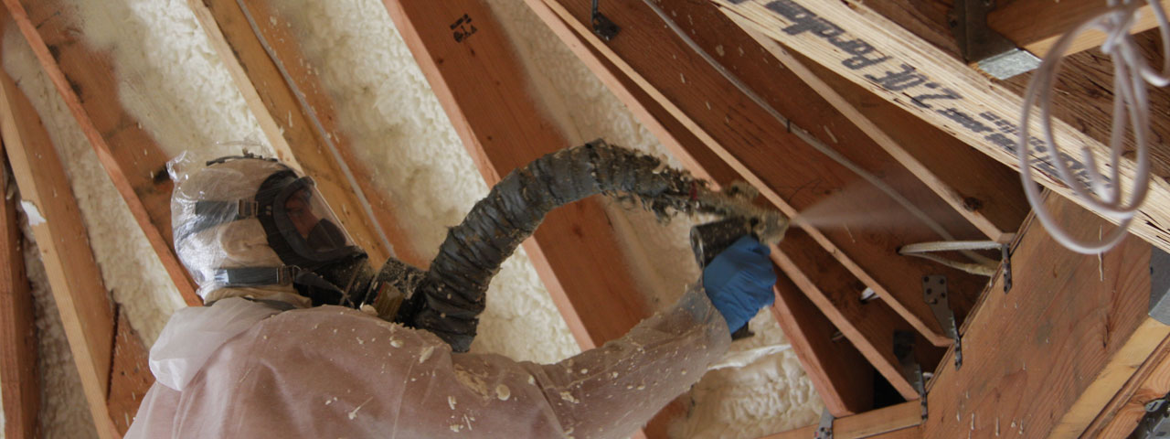 Antoich California Attic Insulation Spray Foam